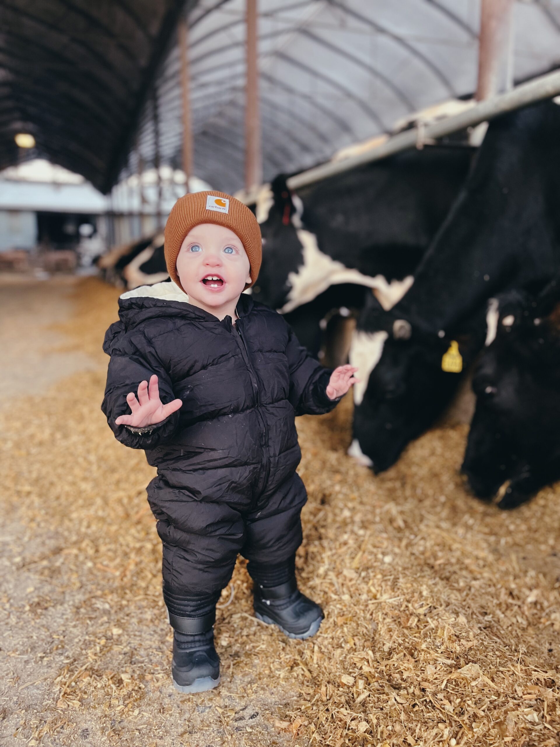 Young child in a black snowsuit and brown beanie smiles joyfully in a barn surrounded by cows, with straw bedding on the ground, showcasing a lively farm atmosphere.